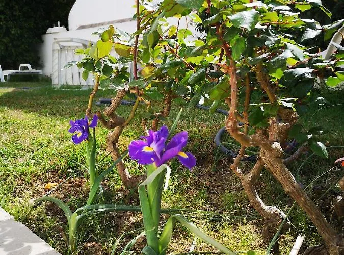 Nature 3*