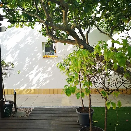Guest house Nature *